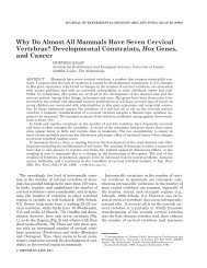 Why do almost all mammals have seven cervical vertebrae ...