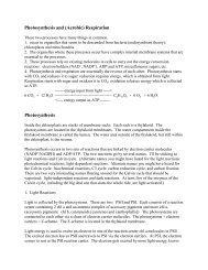 Photosynthesis and (Aerobic) Respiration Photosynthesis