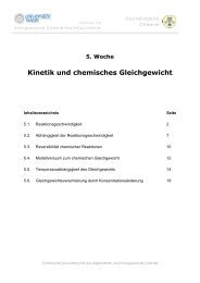 Kinetik und chemisches Gleichgewicht - Fachdidaktik Chemie