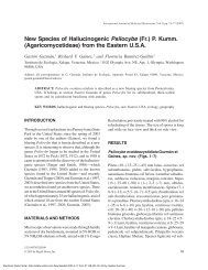 New Species of Hallucinogenic Psilocybe (Fr.) P. Kumm ...