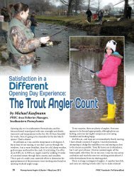 The Trout Angler Count by Michael Kaufmann - Pennsylvania Fish ...