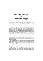 Der Vogt von Sylt Theodor Mügge