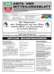 Amts- und Mitteilungsblatt 2013_03_22 - Leidersbach