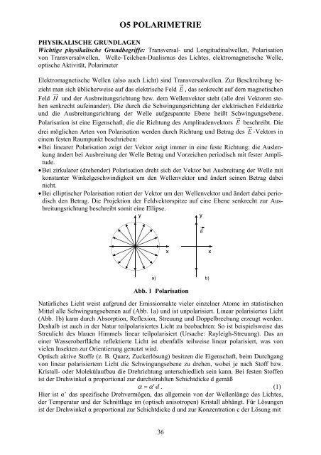 PDF-Datei