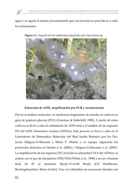 INFECCIONES POR OOMYCETES EN POBLACIONES DE ... - Gredos