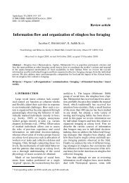 Information flow and organization of stingless bee foraging - HAL-Inria