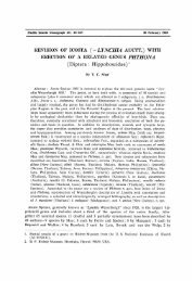 REVISION OF ICOSTA { = LYNCHIA AUCTT.) WITH ERECTION OF ...