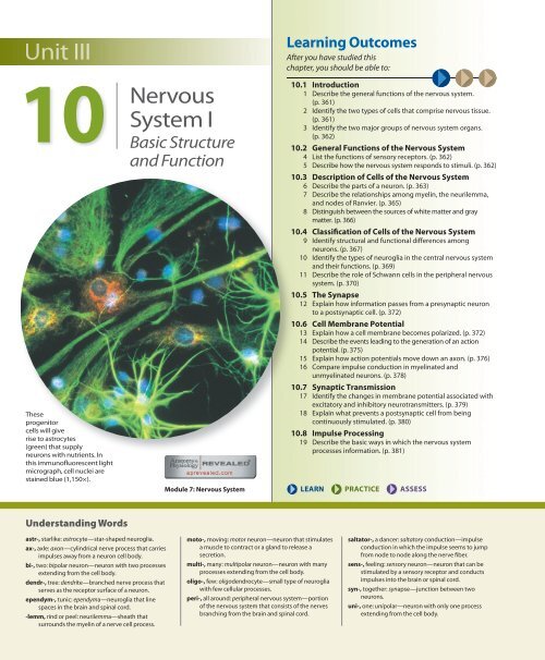 Nervous System I