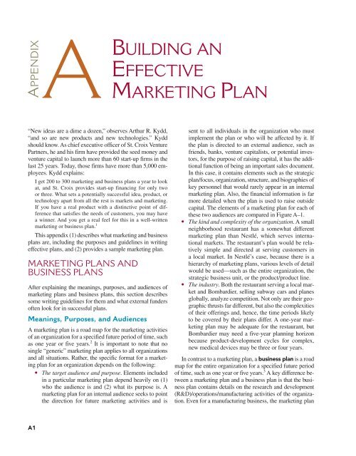 marketing plan for a hypothetical company