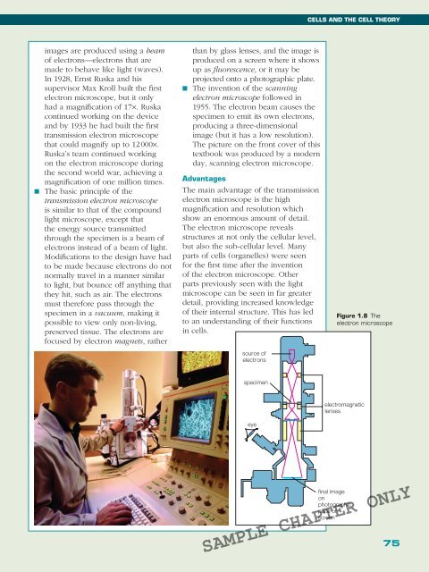 BIOLOGY IN FOCUS