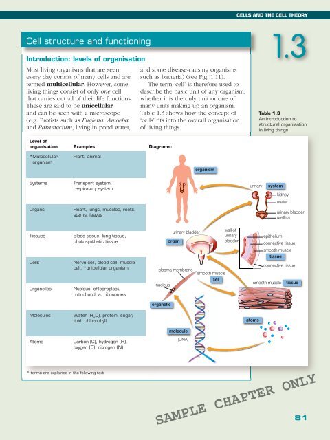 BIOLOGY IN FOCUS