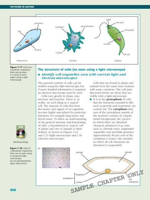 BIOLOGY IN FOCUS