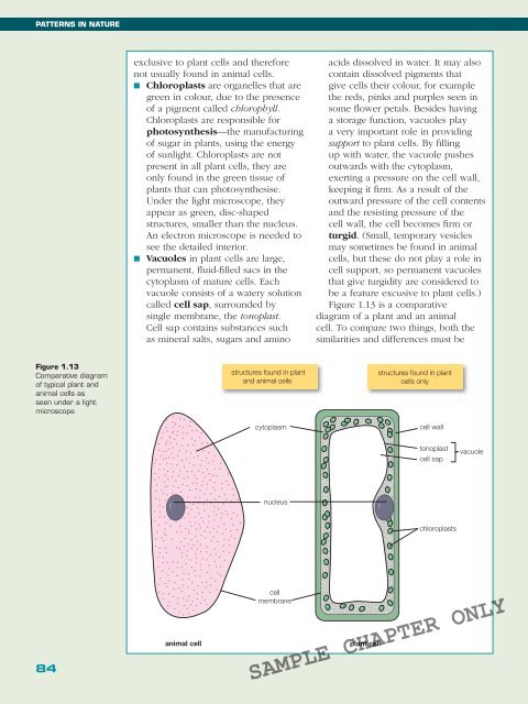 BIOLOGY IN FOCUS