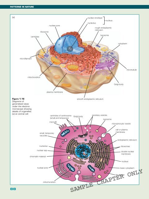 BIOLOGY IN FOCUS