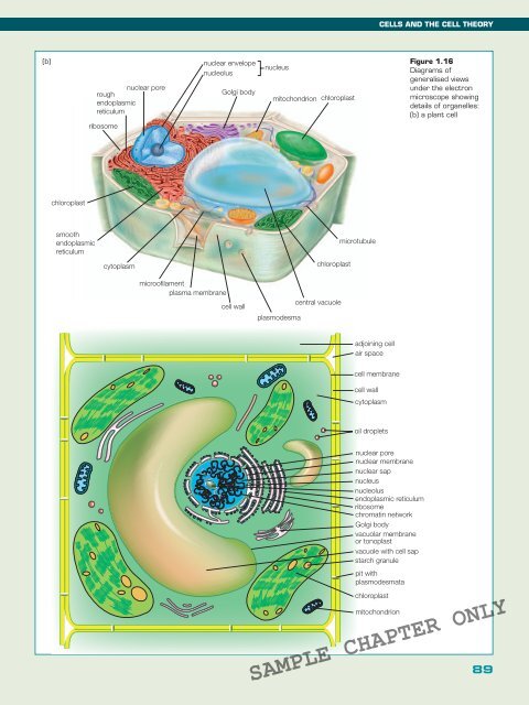 BIOLOGY IN FOCUS