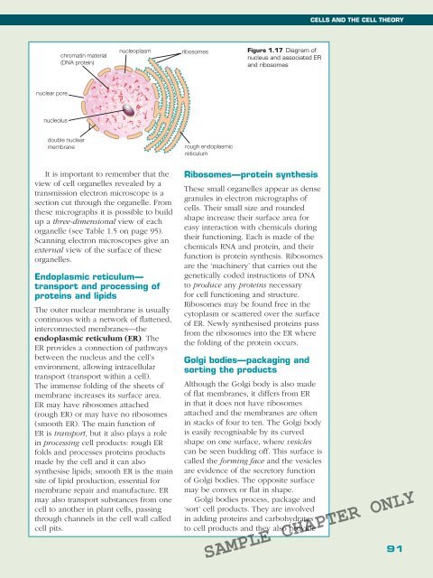 BIOLOGY IN FOCUS