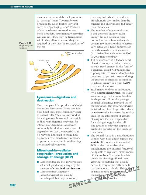 BIOLOGY IN FOCUS