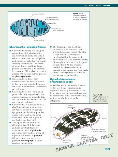 BIOLOGY IN FOCUS