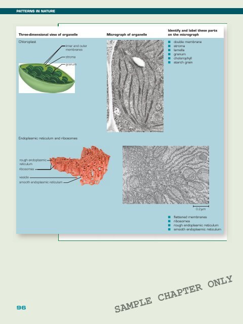 BIOLOGY IN FOCUS