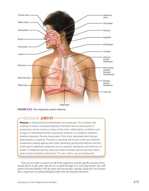 Chapter 13 - McGraw-Hill