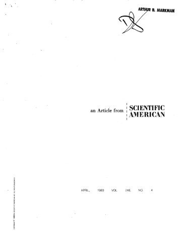 Intuitive physics. Scientific American, 248, 122-130.