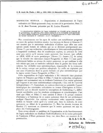 Organisation et fonctionnement de l'apex radiculaire de l'Elaeis ...