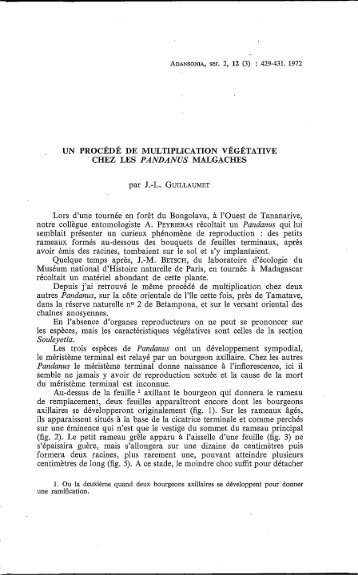 Un procédé de multiplication végétative chez les Pandanus ...