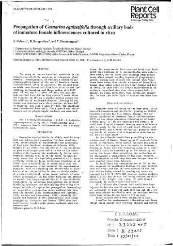 Propagation of Casuarina equisetifolia through axillary buds of ...