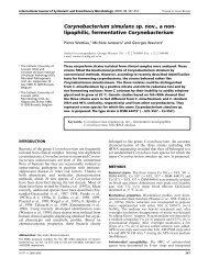 Corynebacterium simulans sp. nov., a non - International Journal of ...