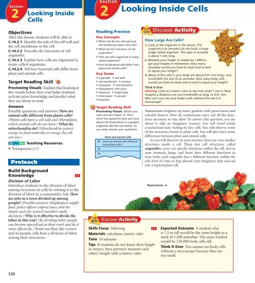 How do chloroplasts capture energy from the sun coloring worksheet answers