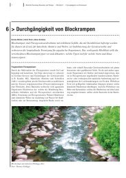 Merkblatt 6: Durchgängigkeit von Blockrampen - BAFU - admin.ch