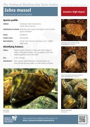 Zebra mussel - National Invasive Species Database