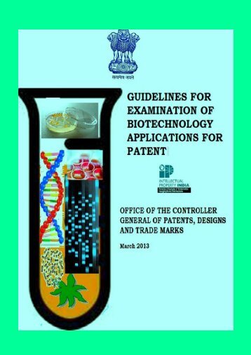 Guidelines for Examination of Biotechnology Applications for Patent