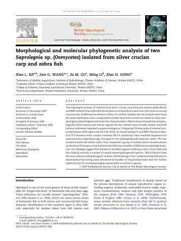 Morphological and molecular phylogenetic analysis of two ...