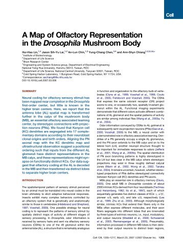 A Map of Olfactory Representation in the Drosophila Mushroom Body