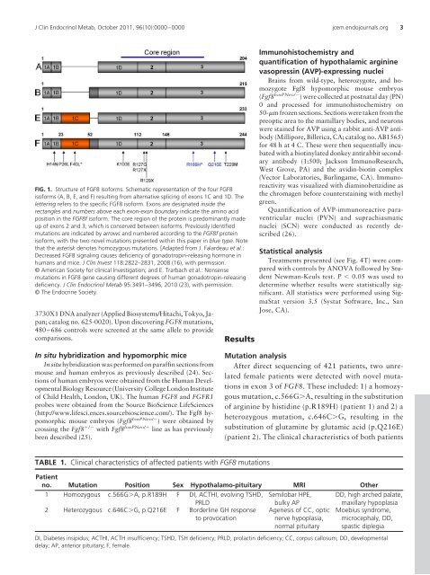 Novel FGF8 Mutations Associated with Recessive ...