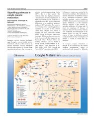 Signalling pathways in oocyte meiotic maturation - Journal of Cell ...