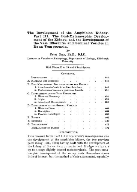 ment of the Kidney, and the Development of the - Journal of Cell ...