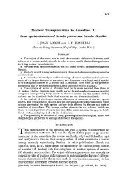 Nuclear Transplantation in Amoebae. I. - Journal of Cell Science