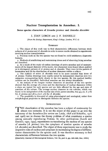 Nuclear Transplantation in Amoebae. I. - Journal of Cell Science