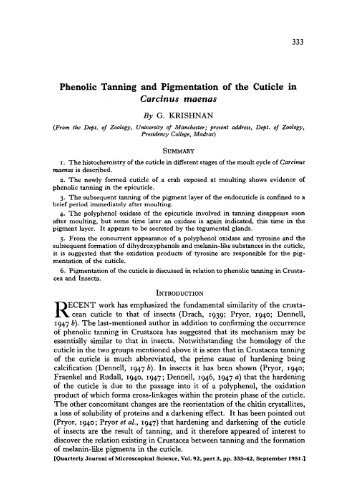 Phenolic Tanning and Pigmentation of the Cuticle in Carcinus maenas