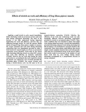 Effects of stretch on work and efficiency of frog (Rana pipiens) muscle