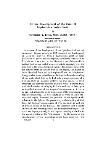 On the Development of the Skull of Leptodeira hotamboia.