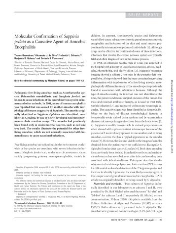 Molecular Confirmation of Sappinia pedata as a Causative Agent of ...