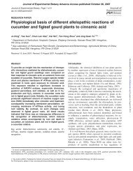 Physiological basis of different allelopathic reactions of cucumber ...