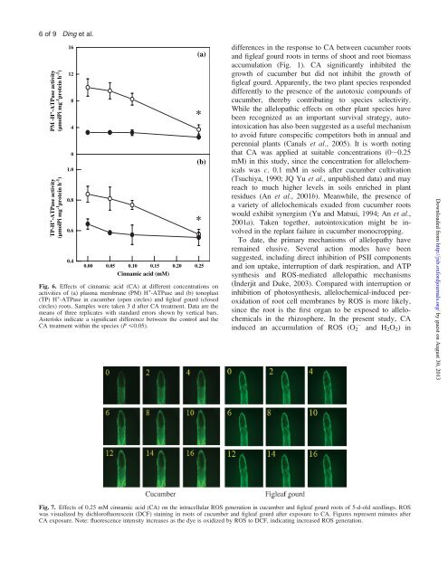 Physiological basis of different allelopathic reactions of cucumber ...