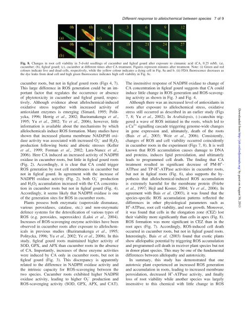 Physiological basis of different allelopathic reactions of cucumber ...