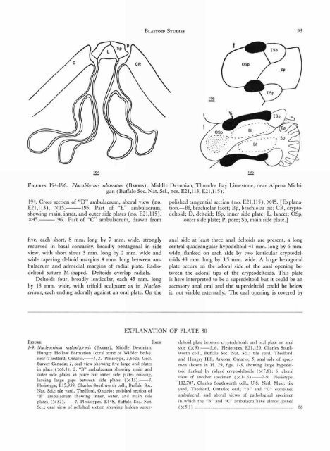 ECHINODERMATA - KU ScholarWorks - University of Kansas