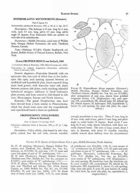 ECHINODERMATA - KU ScholarWorks - University of Kansas