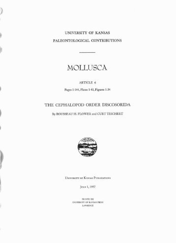 MOLLUSCA - KU ScholarWorks - University of Kansas